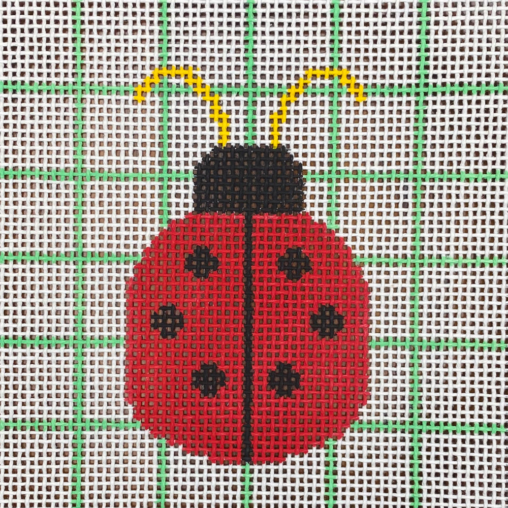 Ladybug on 10M