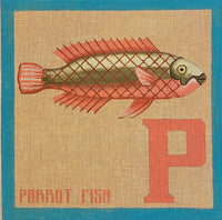 P for Parrot Fish
