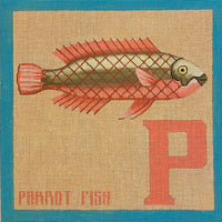 P for Parrot Fish