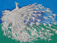 Albino Peacock
