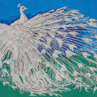 Albino Peacock