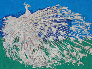 Albino Peacock