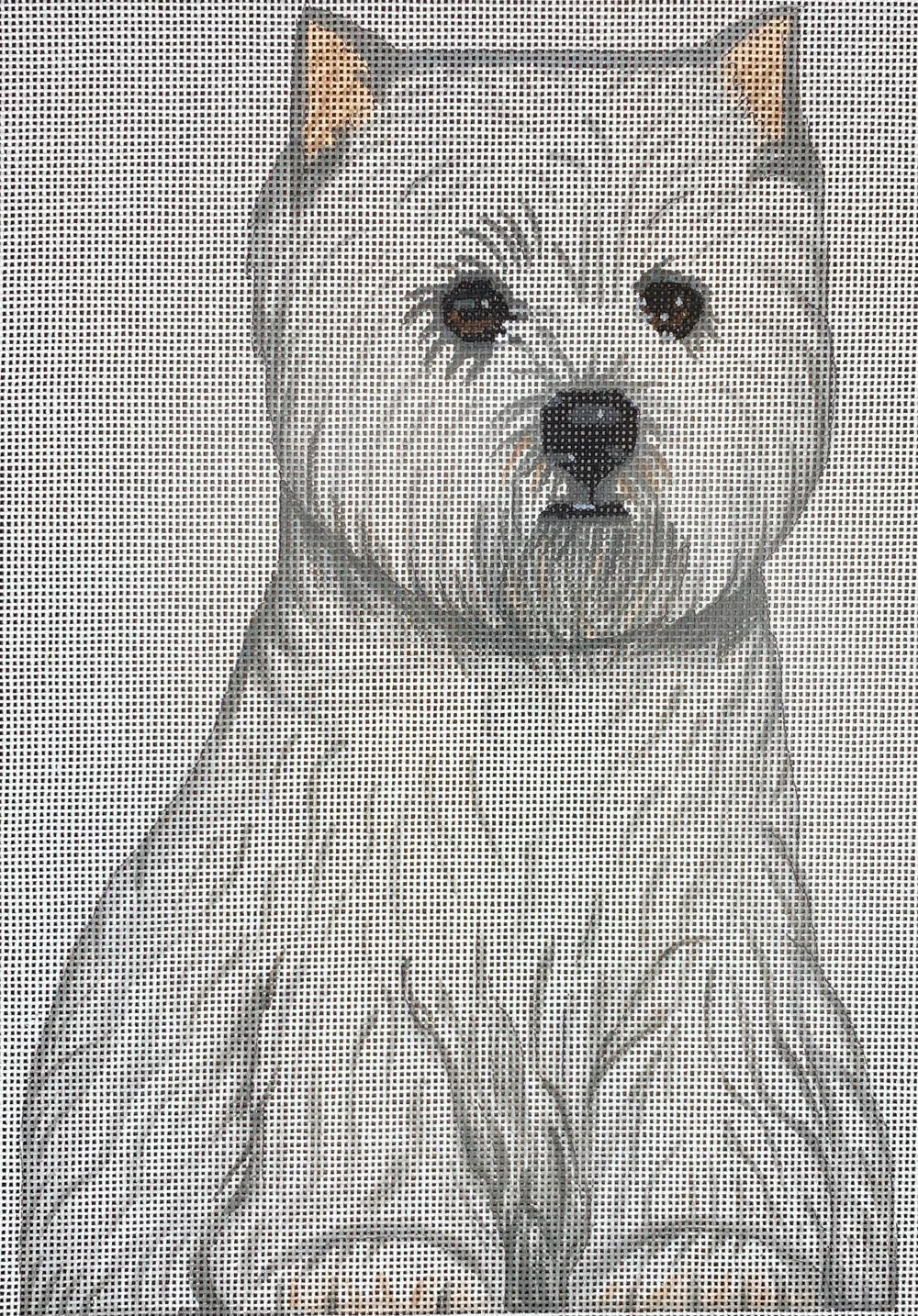 West Highland White Terrier