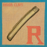 R for Razor Clam