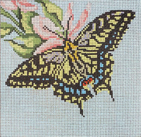 Anise Swallowtail
