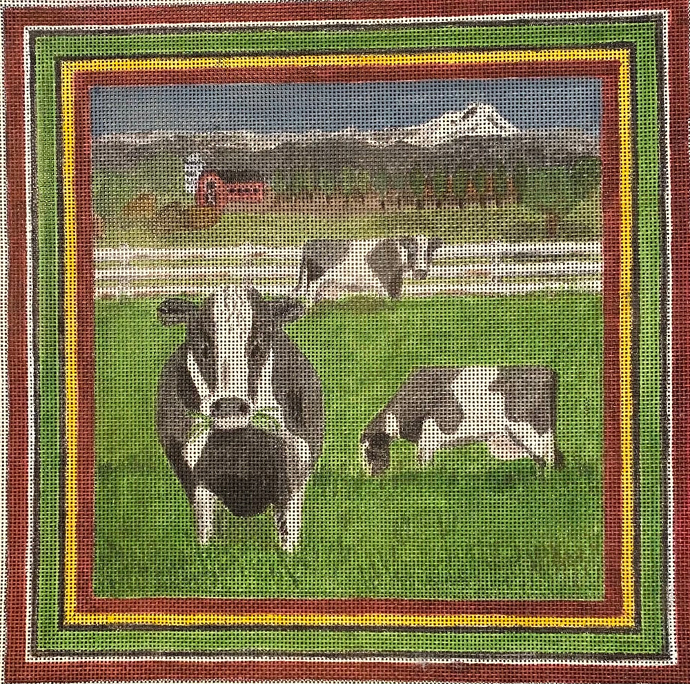 Cows
