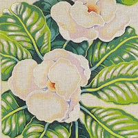 Magnolia Scroll