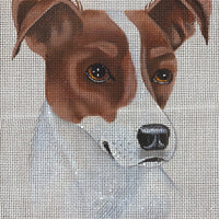 Jack Russell