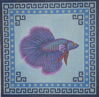 Blue Asian Fighting Fish with Borders
