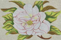 Cream & Pink Magnolia
