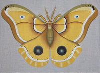 Golden Moth
