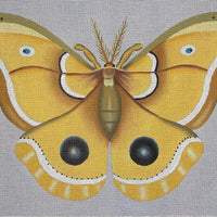 Golden Moth