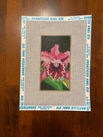Floral
