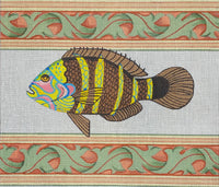 Tropical Fish
