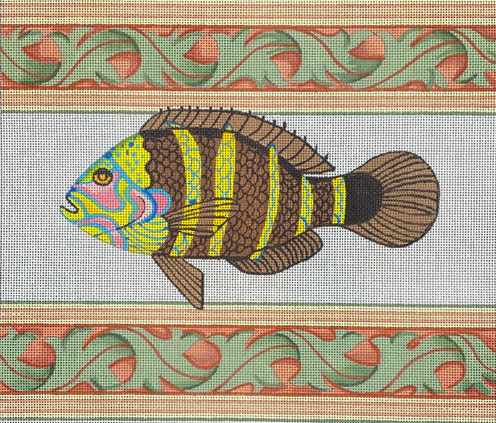 Tropical Fish
