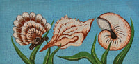 Seashells

