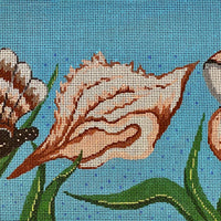 Seashells