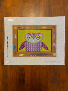 Owl Portrait on 13M