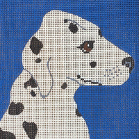 Ed (Dalmatian)