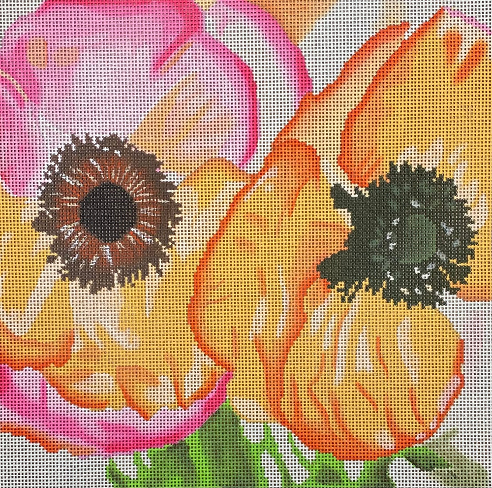 Poppies