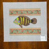 Tropical Fish