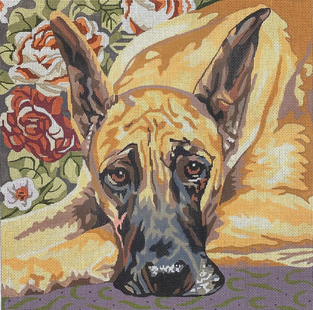 Great Dane